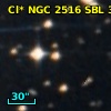 Cl* NGC 2516    SBL     336