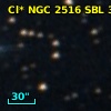 Cl* NGC 2516    SBL     344