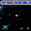 Cl* NGC 2516    SBL     348