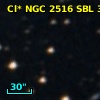Cl* NGC 2516    SBL     349