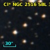 Cl* NGC 2516    SBL     371