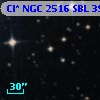 Cl* NGC 2516    SBL     391