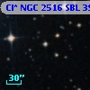 Cl* NGC 2516    SBL     392