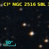 Cl* NGC 2516    SBL     396