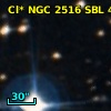Cl* NGC 2516    SBL     408