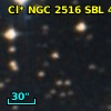 Cl* NGC 2516    SBL     423