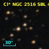Cl* NGC 2516    SBL     455
