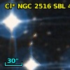 Cl* NGC 2516    SBL     456