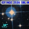 Cl* NGC 2516    SBL     466