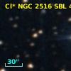 Cl* NGC 2516    SBL     474