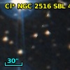 Cl* NGC 2516    SBL     478
