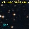 Cl* NGC 2516    SBL     484