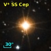 V* SS Cep