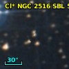 Cl* NGC 2516    SBL     501