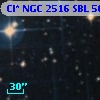 Cl* NGC 2516    SBL     505