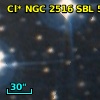 Cl* NGC 2516    SBL     510