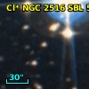 Cl* NGC 2516    SBL     516