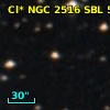 Cl* NGC 2516    SBL     517