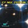 Cl* NGC 2516    SBL     521