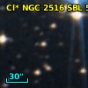 Cl* NGC 2516    SBL     523