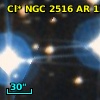Cl* NGC 2516     AR     134