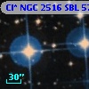 Cl* NGC 2516    SBL     572