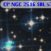 Cl* NGC 2516    SBL     576