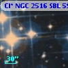 Cl* NGC 2516    SBL     590