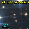 Cl* NGC 2516    SBL     591