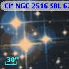 Cl* NGC 2516    SBL     621
