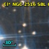 Cl* NGC 2516    SBL     651