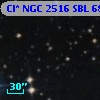 Cl* NGC 2516    SBL     685