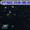 Cl* NGC 2516    SBL     687