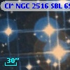 Cl* NGC 2516    SBL     698