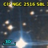 Cl* NGC 2516    SBL     744