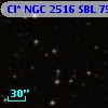 Cl* NGC 2516    SBL     750