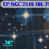 Cl* NGC 2516    SBL     756