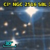 Cl* NGC 2516    SBL     761