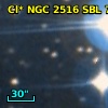 Cl* NGC 2516    SBL     781