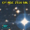Cl* NGC 2516    SBL     790