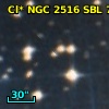 Cl* NGC 2516    SBL     793