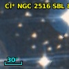 Cl* NGC 2516    SBL     806