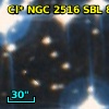 Cl* NGC 2516    SBL     810