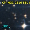 Cl* NGC 2516    SBL     817