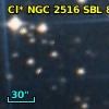 Cl* NGC 2516    SBL     849