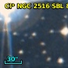 Cl* NGC 2516    SBL     861