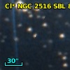 Cl* NGC 2516    SBL     862