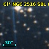 Cl* NGC 2516    SBL     866