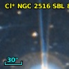 Cl* NGC 2516    SBL     896