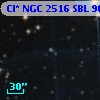 Cl* NGC 2516    SBL     905
